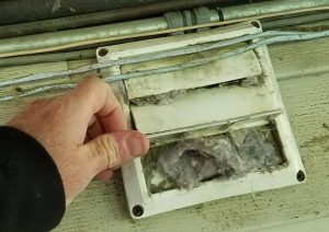 cleaning dry vent outside wall