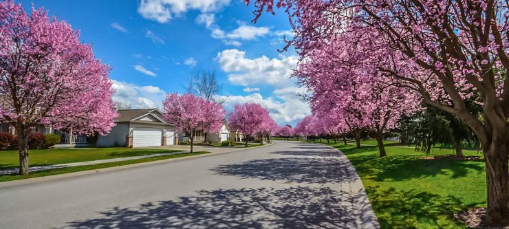 Exploring Your Surroundings Before Buying A Home